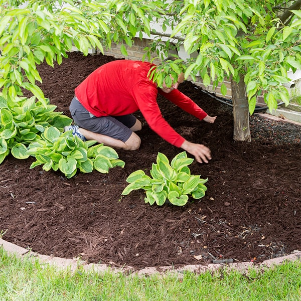 for optimal results, we recommend a mulch installation thickness of 2-4 inches